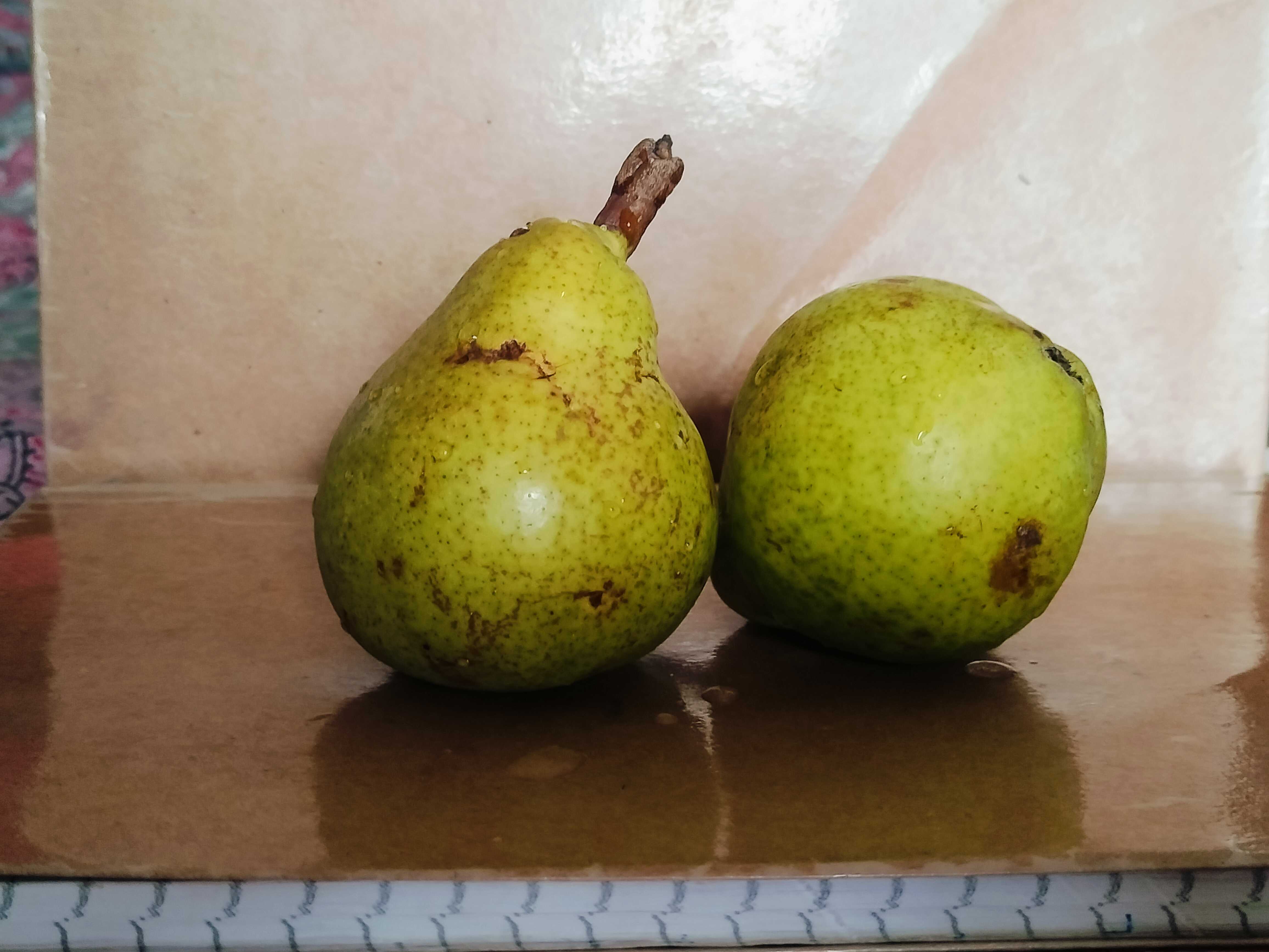 Pear
